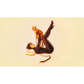 TCG Lady cat umnäht