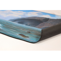 TCG Deadman Island stitched