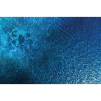 Ocean Surface 6x4