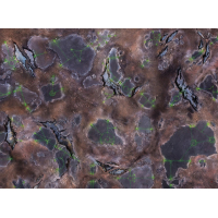 Alien Wasteland 44"x60"