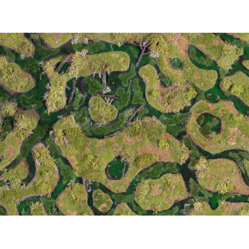 Forsaken Swamp 44"x60"