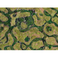 Forsaken Swamp 44"x60"