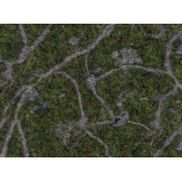 Ancient Green 44"x60"