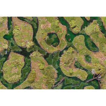 Forsaken Swamp 44"x30"