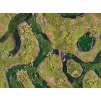 Forsaken Swamp 22"x30"