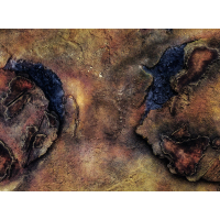 Havoc Desert 22"x30"