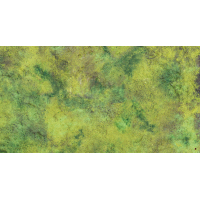 Grass Plain BG