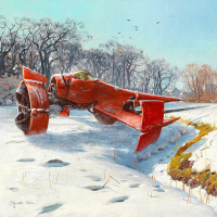 Würfelschale Swordfish