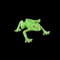 Apple Seed Metallic (22ml)