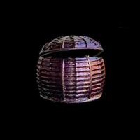 Box Wine Metallic (22ml)