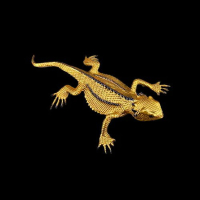 Cartridge Family Metallic (22ml)