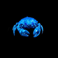 Dork Metallic (22ml)