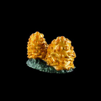 Orange You Glad Metallic (22ml)