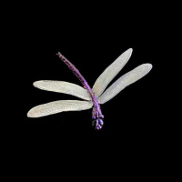 Sparkle Motion Metallic (22ml)