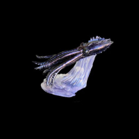 Dark Ritual TurboShift  (22ml)