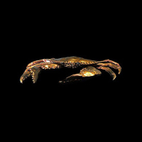 Ground Is Lava TurboShift  (22ml)