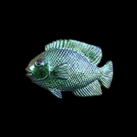 Scarab TurboShift  (22ml)