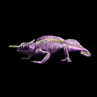 Sugar Rush TurboShift  (22ml)