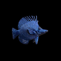 Wavelength TurboShift  (22ml)