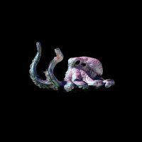 Fae Wylds ZeniShift  (22ml)