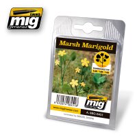 A.MIG-8451 Marsh Marigold