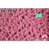 MN-Apricot-Blossoms-Spring-(1:87)