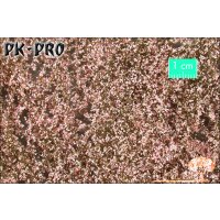 MN-Cherry-Blossoms-Rosa-(1:87)