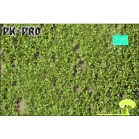 MN-Pappellaub-Frühling-(1:87)