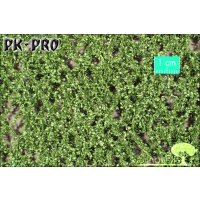 MN-Lombardy-Poplar-Foliage-Summer-(1:87)