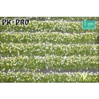 MN-Blossom-Stripes-White-(1:87)