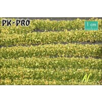 MN-Blossom-Stripes-Yellow-(1:87)