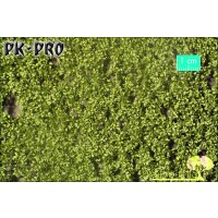 MN-Beech-Foliage-Spring-(1:87)