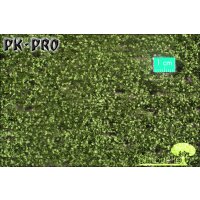 MN-Beech-Foliage-Summer-(1:87)