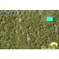 MN-Buchenlaub-Frühherbst-(1:87)