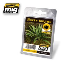 A.MIG-8455 Hart'S Tongue