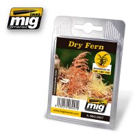 A.MIG-8457-Dry-Fern