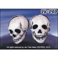 Stencil-Set „Skulls“ (2 stencils)