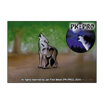 Stencil-Set „Coyote“ (2 stencils)