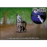 Stencil-Set „Coyote“ (2 stencils)