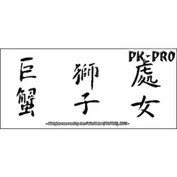 Tattoo-Schablone „Zodiac Sign 3“ (chin.)