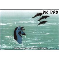 Stencil Set „Dolphins“ (3 stencils)